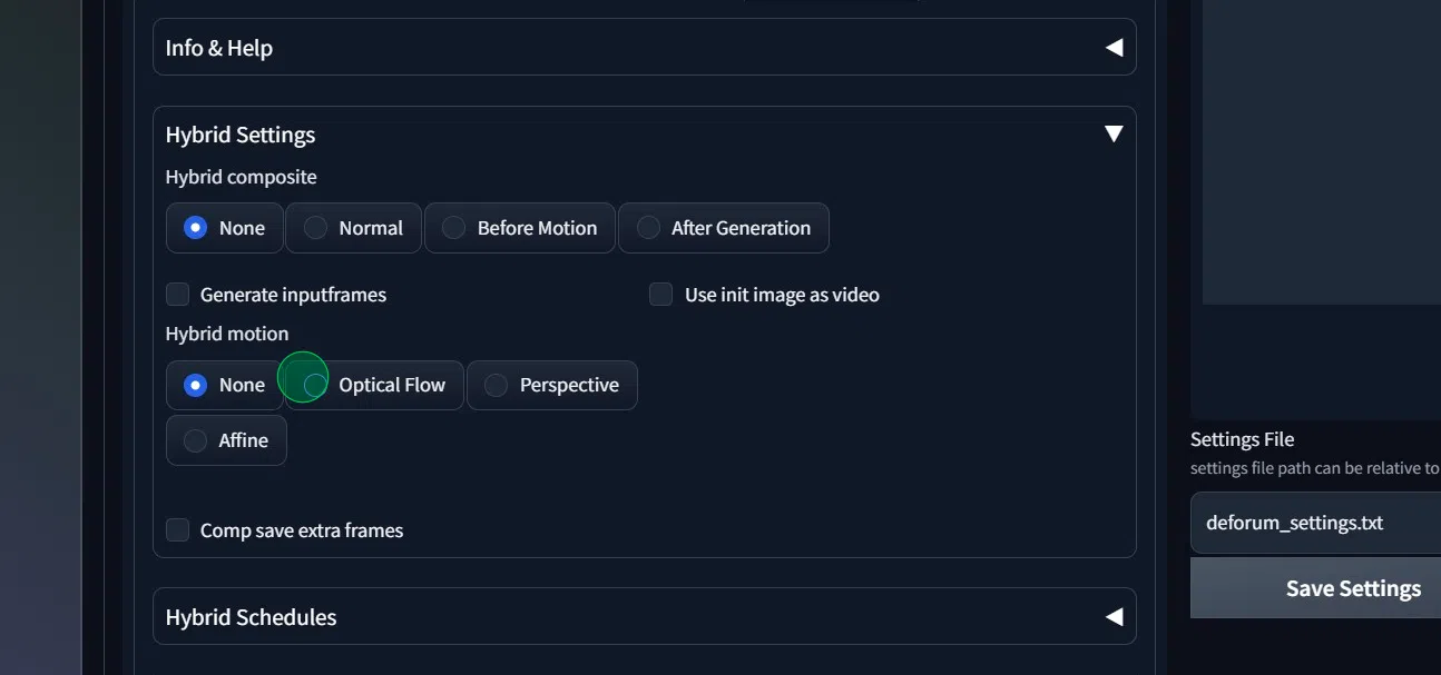 - Click the **"Optical Flow"** field.
- Click the **"DIS Medium"** field. (*Optional: **Raft**/**DIS Fine**/**Farneback***

   provides good results also!)
- Click the **"Generate inputframes"** field.

*"we want to capture only the motion of our init video"*