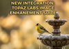 New Integration: Topaz Labs Image Enhancement Suite